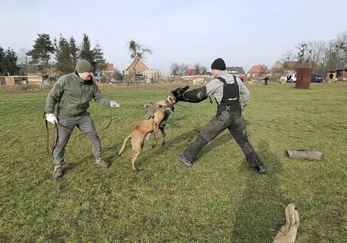 دنغو ترس متوسطة الأكمام الصلبة نايل كوت مع مقبض وقبضة داخل حارس اللقمة لـ IGP ، K9 ، الرياضة ، تدريب الكلاب ، الأسود ، المستوى 4 - الخبير (S01967) in Kuwait