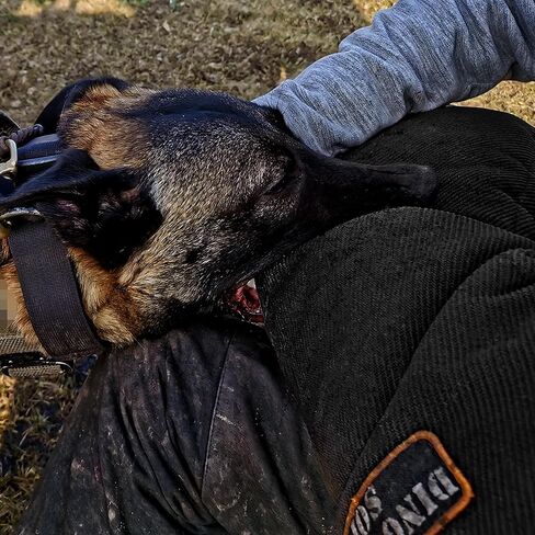 دنغو ترس متوسطة الأكمام الصلبة نايل كوت مع مقبض وقبضة داخل حارس اللقمة لـ IGP ، K9 ، الرياضة ، تدريب الكلاب ، الأسود ، المستوى 4 - الخبير (S01967) in Kuwait