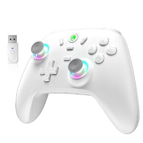 ECHTPower PC Gaming Controller- Hall Effect Joystick, 2.4G & Wired 1000Hz Polling Rate, 800mAh Battery, Adjustable Turbo/Vibration, Wireless Controller for PC/Switch 2/iOS/Android