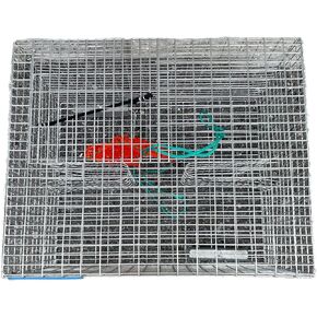 JOYFISH Pinfish Trap-Key WEST Style with Bait MESH Bag, Silver