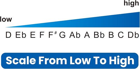 تم تحديث EAST TOP FORERUNNER 2.0 بدون صمامات هارمونيكا لونية 12 فتحة 48 نغمة C مفتاح لوني للفم هارمونيكا للبالغين والمبتدئين والطلاب in Kuwait