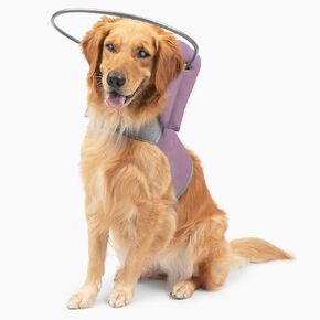 Muffin’s Halo® – The Original Blind Dog Halo | Harness & Bumper Collar Accessory for Safe Navigation & Confidence – Black, Size 2