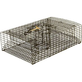 Protoco - CT18R - 11" x 18" (½" x 1" Mesh) - Crawfish and Shrimp Trap, Freshwater & Saltwater Cage Style Fishing Trap for Crawfish, Crayfish, Crawdads, Shrimp - Black