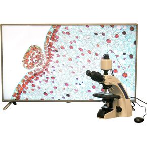 AmScope T720-HD18 40X-1000X Plan Infinity Kohler Laboratory Compound Microscope w 1080 HDMI Camera