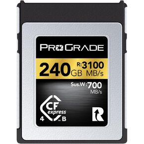 ProGrade Digital Memory Card - CFexpress 4.0 Type B for Cameras | Optimized for Express Transfer of Files & Large Storage | 256GB Gold Series