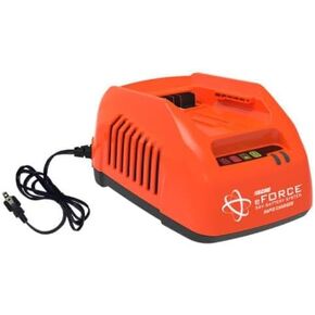 Echo 56V Eforce 2A Lithium Ion Standard Charger For 56V Cordless