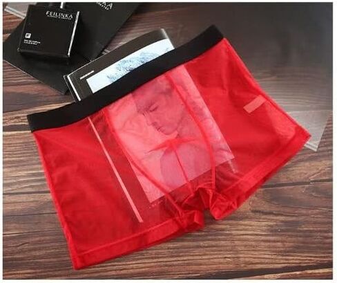 BMYALLEI Men's Underwear Sexy See-through Mesh Breathable Boxer Briefs Men's Transparent Printed Trucks in Saudi Arabia