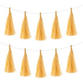 MECCANIXITY 25Pcs Light Blue Tassel Garland Banner with Rope Tissue Paper Tassels Party Tassels DIY Kits for Wedding Birthday Party Decoration