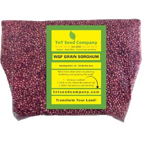 Wild Game Forage Grain Sorghum Food Plot Seed, 1/4 Acre, WGF Grain Sorghum (Milo), Great Food Source for Upland Birds, Turkeys, Pheasants, Quail, Prairie Chickens, and Deer, 5 lbs
