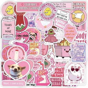 50 PCS Pink Funny Stickers for Adult,Pink Meme Stickers for Women,Waterproof Cool Sticker for Water Bottles,Laptop,Scrapbooking,Funny Gifts for Adult,Woman