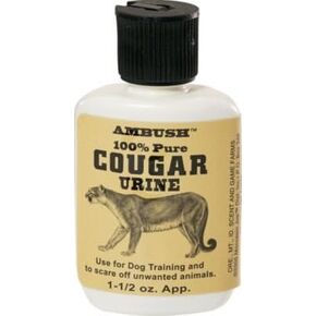 Cougar Urine