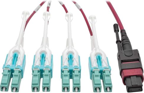 TRIPP LITE 2M MTP MPO 8XLC 50/125 OM4 FANOUT CATPER CABLE OPTION CABLE 12 الألياف 40GB CMP MAGENTA 6.6ft (N845-02M-8L-MG) in Saudi Arabia