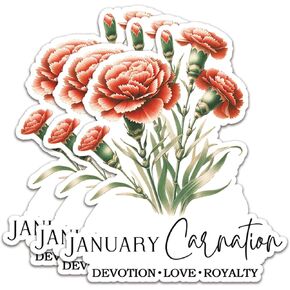 (3Pcs) January Carnation Stickers January Birthday Stickers Flower Stickers Decal Waterproof Vinyl Stickers Adult for Laptop Kindle Car Tumbler Water Bottle Mug Phone Notebook Helmet Size 3"x2.6"