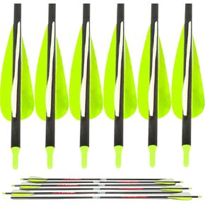 Southwest Archery Sage Premium Recurve Carbon Arrows 31.5" 6/12 Pack - Ready 2 Shoot - Designed for Samick Sage and Sage 2" Spyder