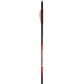 Carnivore Arrows by Black Eagle .003 350 2.5 In. Shield Cut 6 Pk.