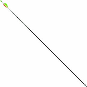 Easton 819388 Pack of 6 Axis Arrow with 2-Inch Vane, Black