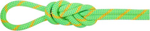 Mammut Unisex - Adult 8.0 Alpine Eco Dry Rope 30 m Climbing Rope in Saudi Arabia