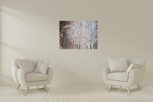 صور شجرة جدار ديكور رسمت باليد لوحات قماش ريفي 3D الفن البني مع رقائق الذهب الحديثة مجردة المشهد الفني لغرفة المعيشة غرفة نوم الطعام الديكور in Saudi Arabia