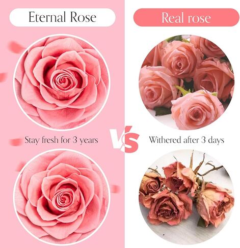 Preserved Real Rose with Heart Necklace and Bracelet |Eternal Forever Flower Preserve Roses |I love You in 100 Languages |Jewelry Gifts for her for Mother's Day, Girlfriends and Special Occasions in Saudi Arabia