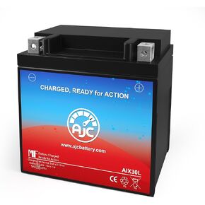 AJC® AIX30L Powersports Battery