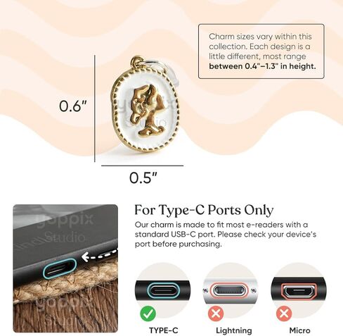 9PCS Charms for E-Reader, Dust Plug Charm Compatible with Type C Charging Port, Gift for Book Lover Readers Men Women Teachers Students, Accessories for E-Reader in Kuwait