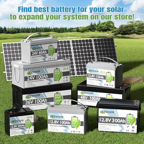 بطارية 12V 100AH ​​LIFEPO4 ، بطاريات ليثيوم ديب لدورة إعادة الشحن ، 100A BMS مع حماية منخفضة الإيقاع ، مثالية للربع ، الطاقة الشمسية ، القوارب ، البحرية ، محرك التصيد in Kuwait