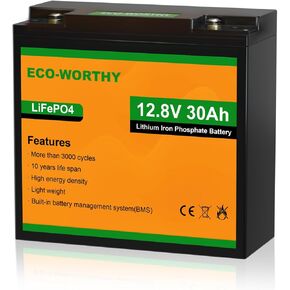 ECO-WORTHY 12V 150AH Bluetooth LiFePO4 Lithium Battery with Low Temperature Protection, Built-in 120A BMS, Perfect for Trolling Motor, Boat, RV, Camping, Home Energy Storage