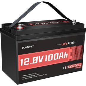 12V 300Ah Lithium LiFePO4 Battery,200A BMS Max.3840W Load Power,Rechargeable Lithium Iron Phosphate Battery for Solar Energy Storage,Backup Power,RV,Camping