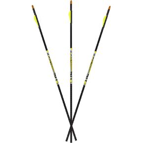 Carbon Express D-Stroyer 500 Spine, 6-Pack of Fletched Arrows, Available in 400 & 500 Spine