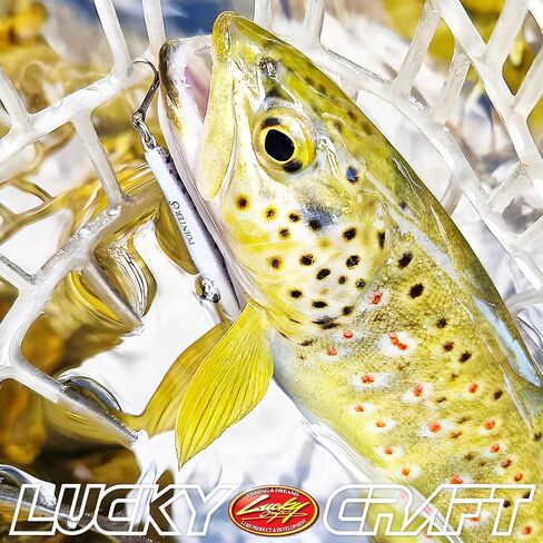 LUCKY CRAFT Pointer 48DD Fishing Lures for Freshwater, 2" Deep-Diving Suspending Jerkbait, Trout and Bass Lures, 3–4ft Depth, Precision Freshwater Fishing Gear and Accessories for Tackle Box in Saudi Arabia
