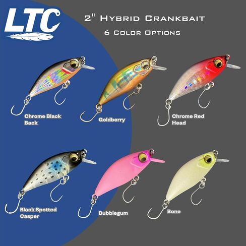2 "Hyrbid crankbait/twitchbait/jerkbait in Saudi Arabia