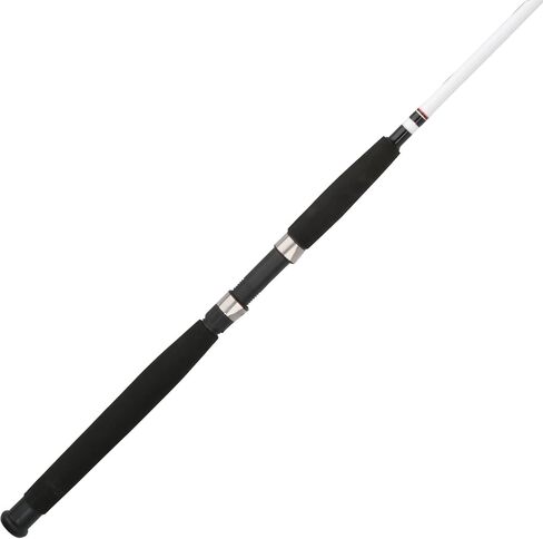 Berkley Big Game Spinning Fishing Rod in Saudi Arabia