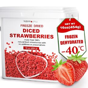 Freeze Dried Strawberry Pieces - 16 oz (1 lb) Resealable Bucket - Crunchy Dried Fruit Bulk No Added Sugar Snack for Smoothies, Oatmeal, Yogurt, Baking, Dessert & Trail Mix in Saudi Arabia