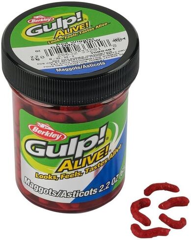 Berkley Gulp! Alive! Maggot Fishing Bait, Red Wiggler, Extreme Scent Dispersion, Great Replacement for Live Maggots, Ideal for Panfish, Trout, and More in Saudi Arabia