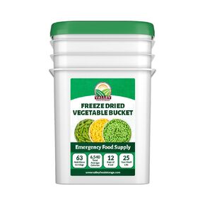 Freeze Dried Fruit Bucket, 12 Pouch | Premium Emergency Food Supply | Non-GMO Survival Food 25 Year Shelf Life | Camping Food, Backpacking Meals, Prepper Supplies | Valley Food Storage Packaged in USA
