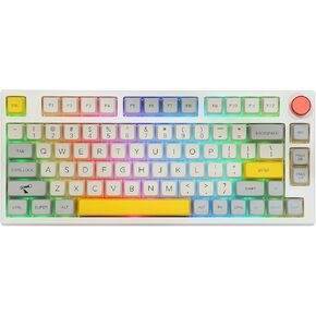 EPOMAKER TH80 Pro 75% Hot Swap RGB 2.4Ghz/Bluetooth 5.0/Wired Gaming Keyboard, with 4000mah Battery, PBT Keycaps, Knob Control for Windows/Mac PS5 PS4 Xbox