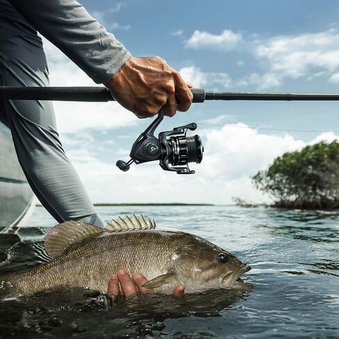Piscifun Carbon XT Spinning Reels, Light to 5.5oz, Carbon Frame and Rotor, 22LBs Max Drag, 8+1 Shielded BB, 5.2:1 Gear Ratio, Smooth Powerful Freshwater Spinning Fishing Reel, 1000, 2000, 3000 in Saudi Arabia