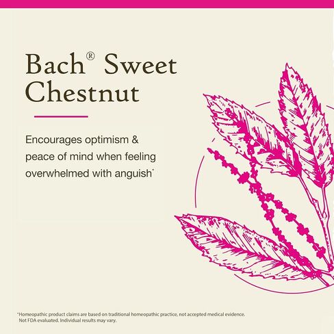 Bach Original Flower Remedies, Beech for Tolerance (Non-Alcohol Formula), Natural Homeopathic Flower Essence, Holistic Wellness and Stress Relief, Vegan, 10mL Dropper in Kuwait