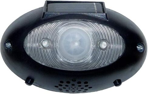 EW-1 EyeWatch Outdoor Wireless Solar-Powered Security Motion Detector, 180 Degree Detection, Siren Alert with Flashing Blue Lights. in Saudi Arabia