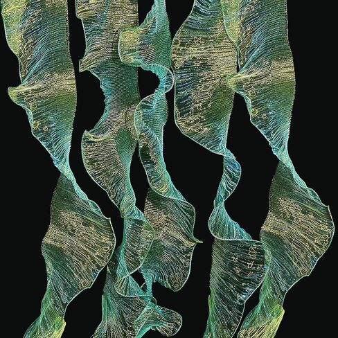 Newwiee 25 Yards Iridescent Fabric Ruffle Pleated Chiffon Trim Organza Ruffled Fabric Chiffon Iridescent Ribbon Pleated Lace Fabric Trim for Sewing Dress Bag Costume Decoration Trimming Craft in Saudi Arabia