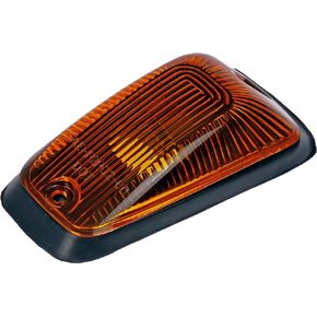 Dorman 69995 Roof Lamp and Housing Kit Compatible with Select Chevrolet / GMC / Isuzu Models
