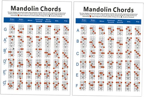 VICASKY Mandolin Chord Chart Poster, Mandolin Note Chart Decals Finger Guide Instructional Sheet for Comprehensive Reference Guide of Easy Chord Diagrams, Fingerings 11.00X8.25inch in Saudi Arabia