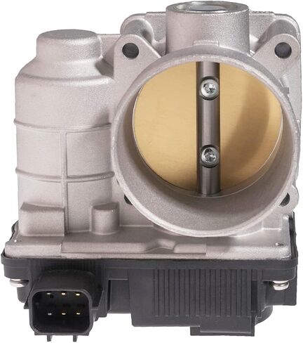S20053 Electronic Fuel Injection Throttle Body Assembly (For 2.5L L4 Only) Fit For 2002 2003 2004 2005 2006 Nis-san Altima Sentra (Replace # 16119AE013 16119AE01A 67-0002 TB1002) in Saudi Arabia