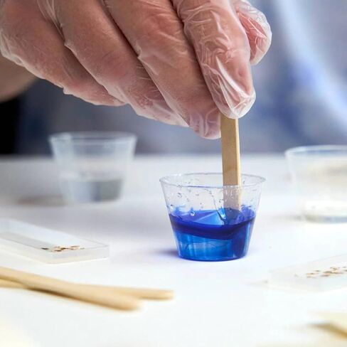Alumilite Amazing Clear Cast Epoxy Resin Kit 16 Oz for Coating & Castings in Kuwait