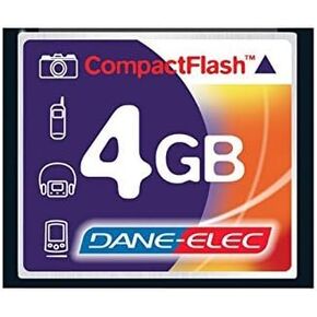 Nikon D100 Digital Camera Memory Card 4GB CompactFlash Memory Card
