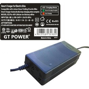 3 Amps Smart AC Adapter Compatible with Jetson Haze Electric Bike