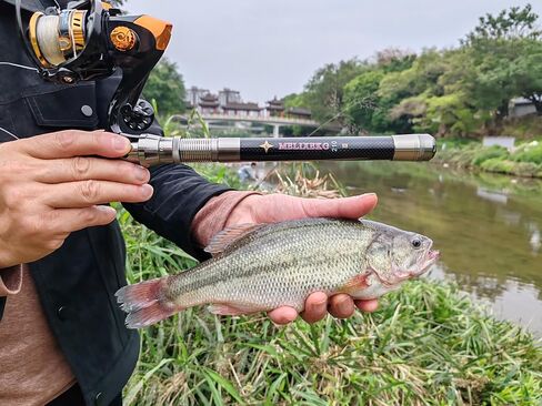 Telescopic Fishing Rod and Reel Combination, 240 Cm Carbon Fiber Rod, Adult Foldable Fishing Rod Suitable for Freshwater and Salt Water in Saudi Arabia