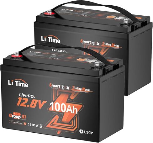 LiTime 2 Pack 12V 100Ah Trolling Motors Lithium Battery, Group 31 Bluetooth LiFePO4 Battery | Low-Temp Protection | 100A BMS | Bluetooth 5.0 | Perfect for Marine, Boat, RV, Home Energy Storage in Saudi Arabia