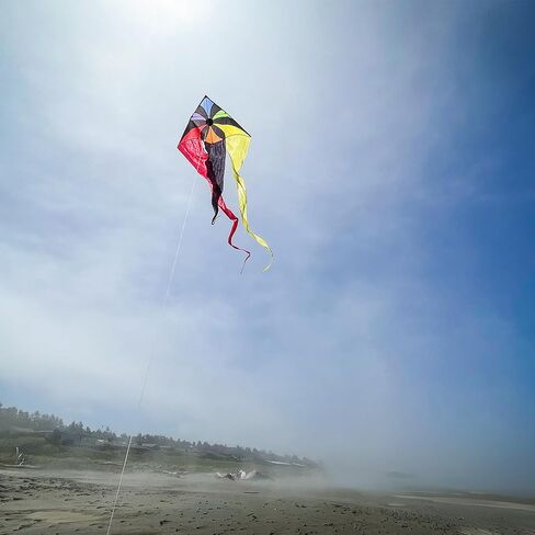 In the Breeze 3357 — Texas 77" Wave Delta Kite — Easy Flying Single Line Large Ripstop and Taffeta Kite in Saudi Arabia