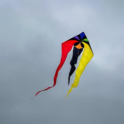 In the Breeze 3357 — Texas 77" Wave Delta Kite — Easy Flying Single Line Large Ripstop and Taffeta Kite in Saudi Arabia